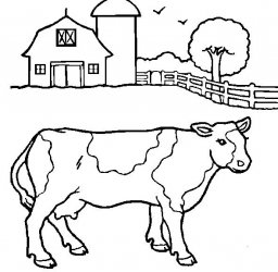 clr-cow.JPG