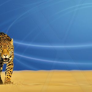 Aqua Blue Jaguar