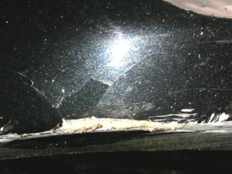DSCN7544.JPG