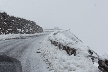 12zroadster0008.jpg 12zroadster0008.jpg