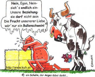 Bullenschwein.jpg