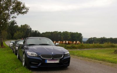 IMG_0832_neu.jpg