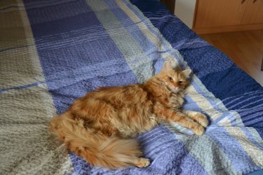 DSC_2458.JPG