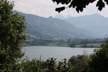 IMG_5252.JPG IMG_5252.JPG