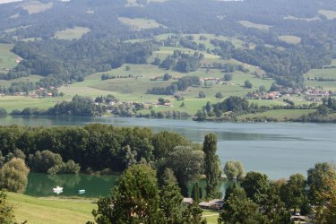 IMG_5254.JPG IMG_5254.JPG