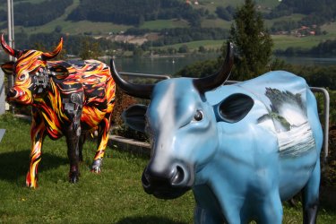 IMG_5258.JPG IMG_5258.JPG