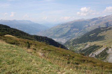 IMG_5382.JPG IMG_5382.JPG