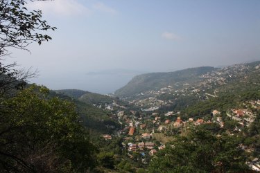 IMG_5434.JPG IMG_5434.JPG