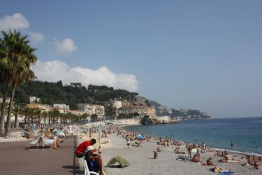 IMG_5461.JPG IMG_5461.JPG