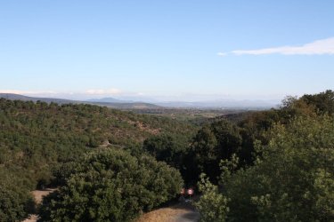 IMG_5562.JPG IMG_5562.JPG