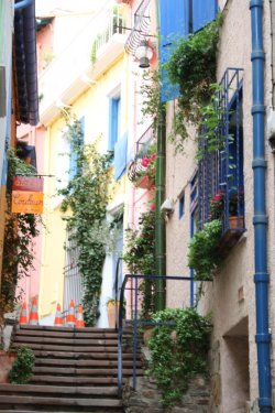 IMG_5786.JPG IMG_5786.JPG