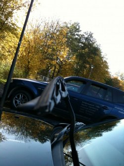 Foto3.JPG