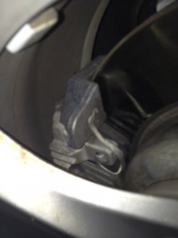 IMG_0145.jpg IMG_0145.jpg