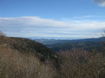 IMG_4335.JPG IMG_4335.JPG