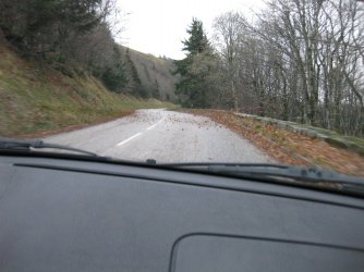 IMG_4387.JPG IMG_4387.JPG