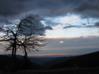 IMG_4409.JPG IMG_4409.JPG