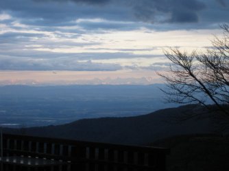 IMG_4421.JPG IMG_4421.JPG