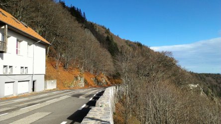 IMG_4339.jpg IMG_4339.jpg