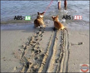 ABS.jpg