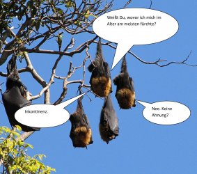 Flughunde.jpg