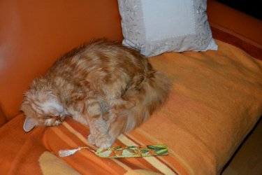 DSC_2567.JPG