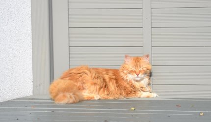 DSC_0822.JPG