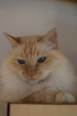 DSC_2225.jpg