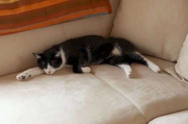 DSC_9657.jpg