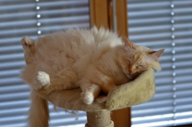 DSC_5343.jpg