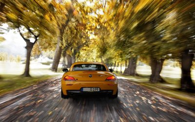 Z4_11_noplate.jpg