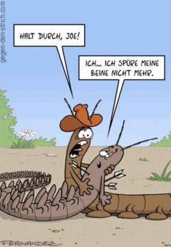 witz3.jpg