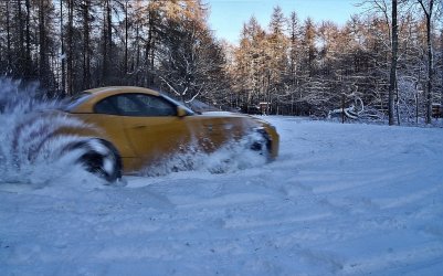 Snowplay3_1.jpg