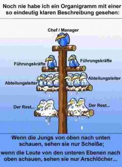 Vogel-Organigramm.jpg