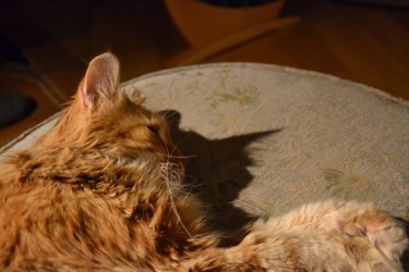DSC_2674.JPG
