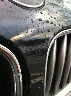 Foto 1.JPG
