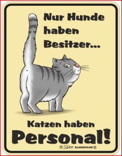 Aufzeichnen.JPG