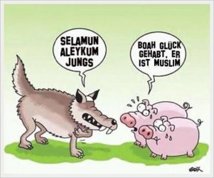 Schweine.jpg