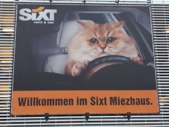 Hertz1.jpg