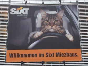 Hertz2.jpg