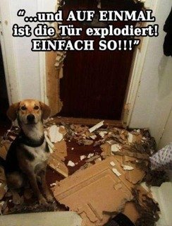 ImageUploadedByzroadster.com1360077469.178938.jpg