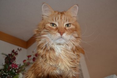 DSC_2861.JPG