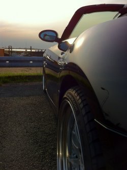 ImageUploadedByzroadster.com1362114954.599791.jpg