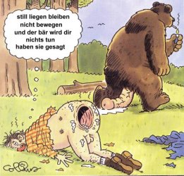 baerennummer.jpg