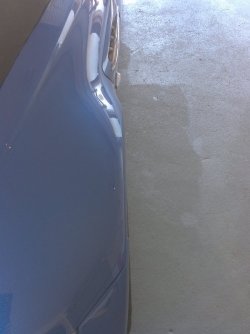 IMG_20130322_164930.jpg IMG_20130322_164930.jpg