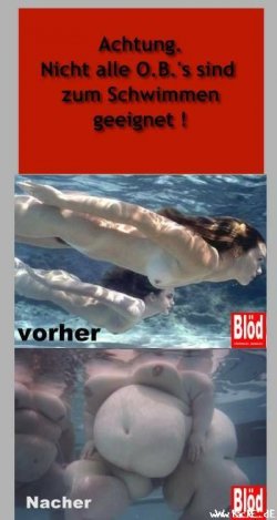bild10.jpg