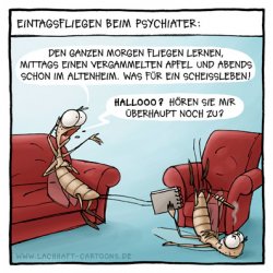 07-11-16_no221_eintagsfliegen.jpg