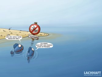 lachhaft-cartoons_wallpaper_03_800x600.jpg