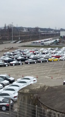 2013-03-20 11.22.18.jpg