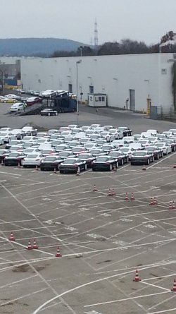 2013-03-20 11.22.31.jpg