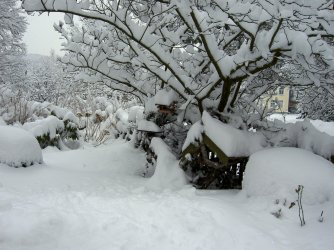 Winterscheisse 2013 003.JPG